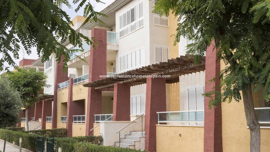 Nouvelle construction - Apartment - Fuente - alamo - Hacienda del alamo
