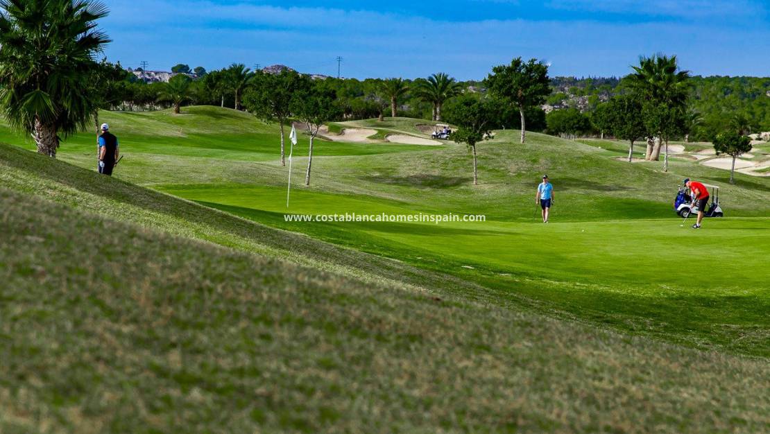 Nouvelle construction - Bungalow - Orihuela - Vistabella Golf