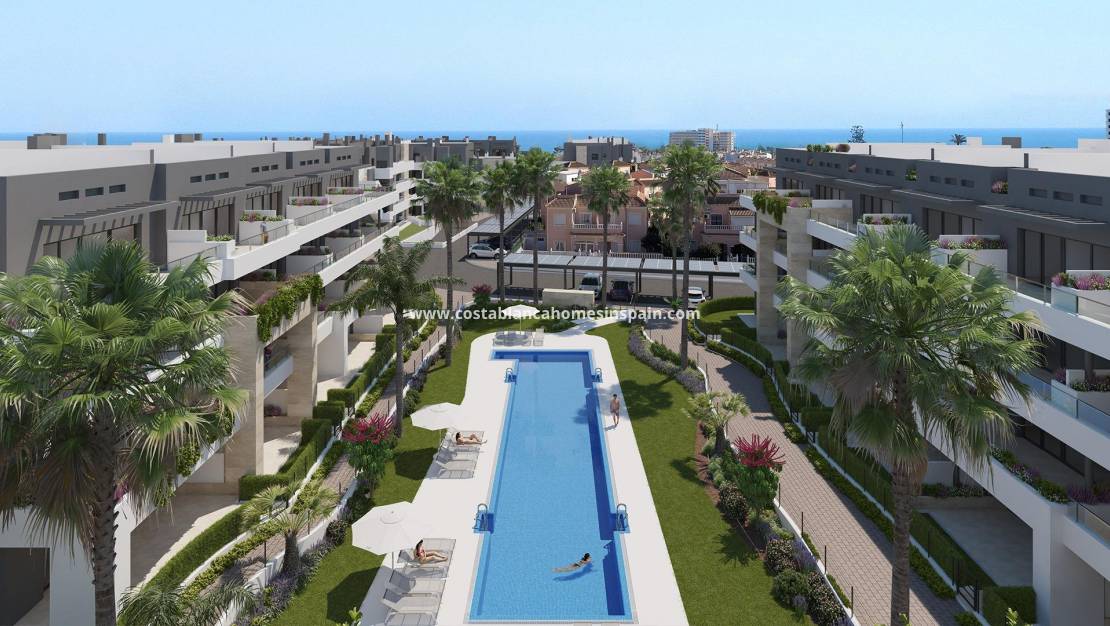 Nýbygging - Apartment - Orihuela Costa - Playa Flamenca