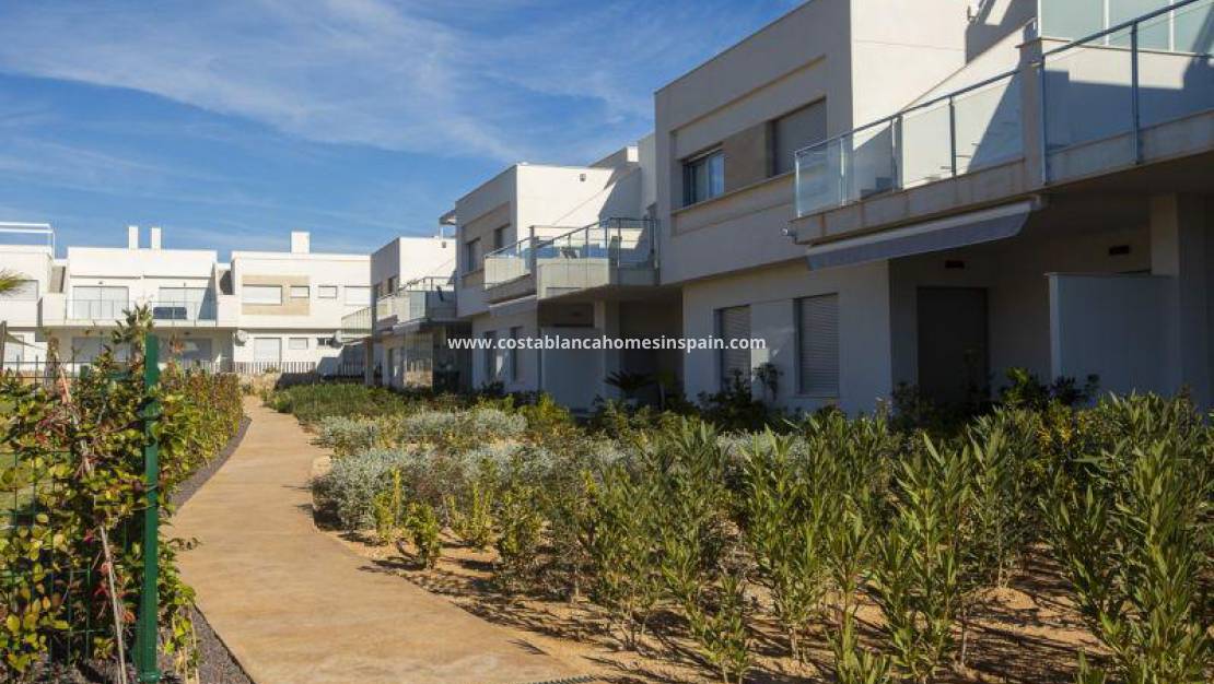 Nýbygging - Bungalow - Orihuela - Vistabella Golf