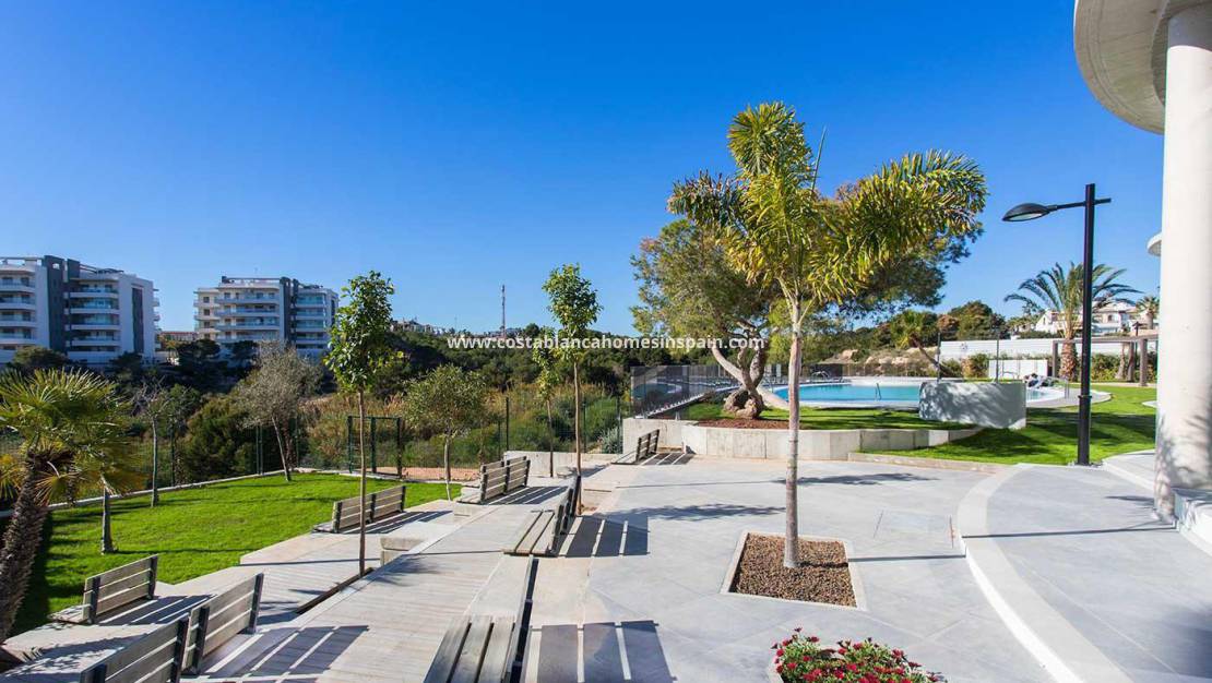 Nýbygging - Ground Floor - Orihuela Costa - Villamartin