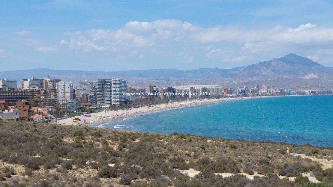 Nýbygging - Penthouse - San Juan Alicante - Fran espinos