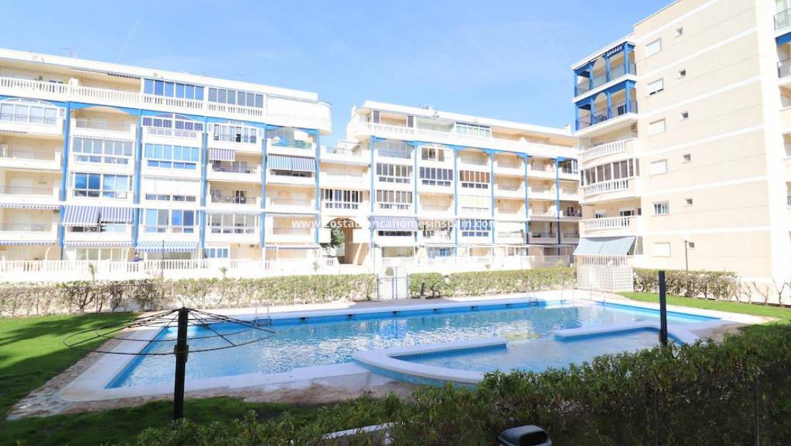 Re-salg - Apartment - Arenales del sol - Zona paseo maritimo