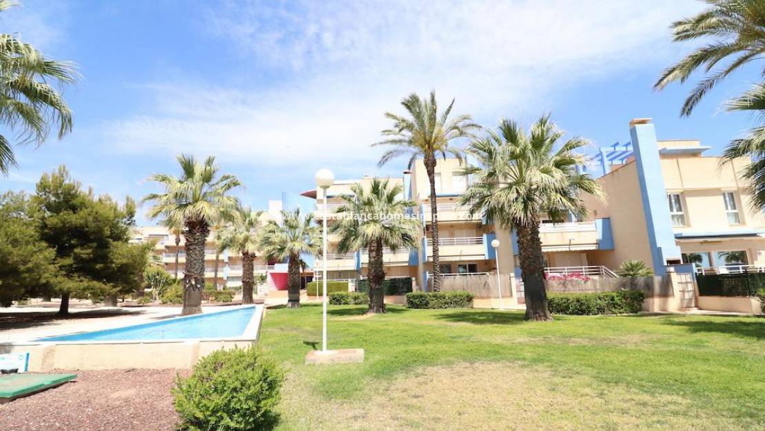 Re-salg - Apartment - Orihuela Costa - Agua Marina