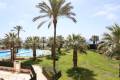 Resale - Apartment - Orihuela Costa - Agua Marina