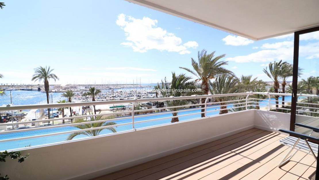 Resale - Apartment - Torrevieja - Paseo maritimo
