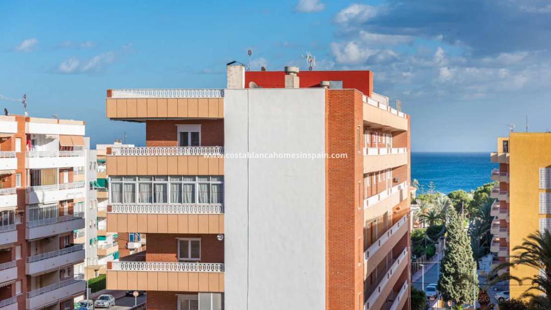 Revente - Apartment - PUNTA PRIMA - Punta prima , Orihuela Costa