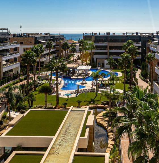 Apartment - Endursölu - Playa Flamenca - Playa Flamenca
