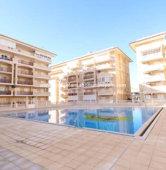 Apartment - Endursölu - Torrevieja - La Mata