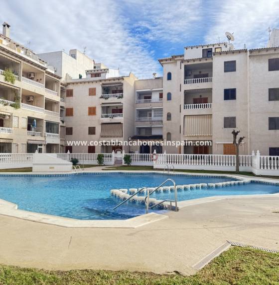 Apartment - Endursölu - Torrevieja - Torrevieja