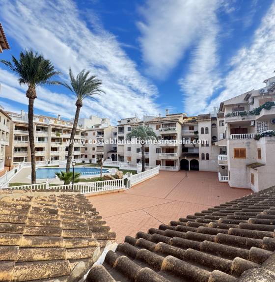 Apartment - Endursölu - Torrevieja - Torrevieja