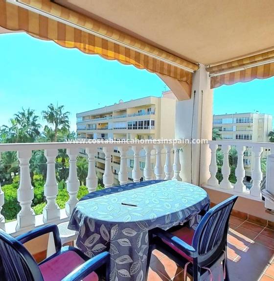 Apartment - Endursölu - Torrevieja - Torrevieja