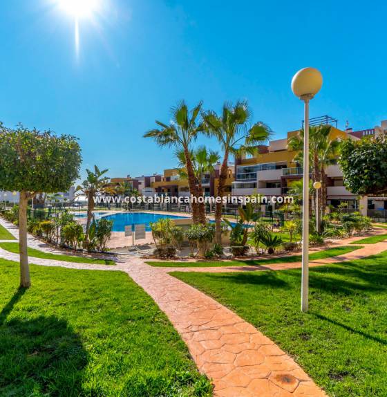Apartment / flat - Re-salg - Orihuela Costa - Playa Flamenca