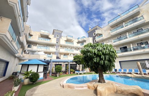 Apartment - Használt - Cabo Roig - Cabo Roig