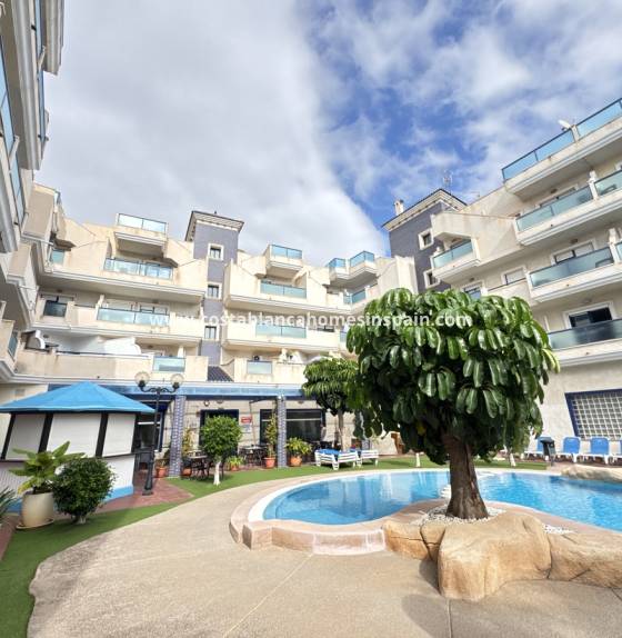Apartment - Használt - Cabo Roig - Cabo Roig