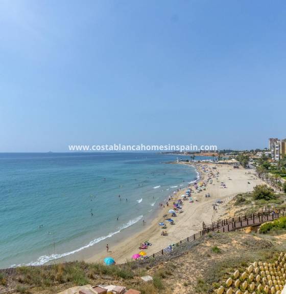 Apartment - Használt - Campoamor - Campoamor
