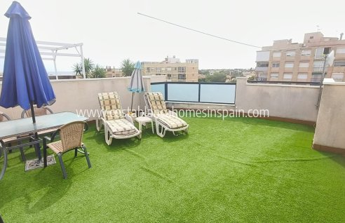 Apartment - Használt - La Zenia - La Zenia