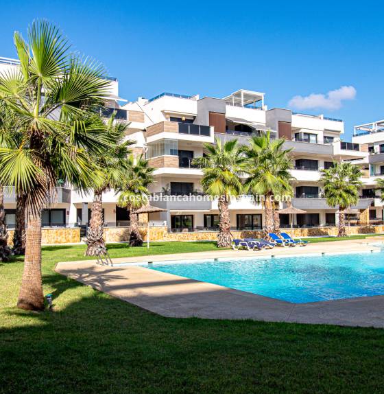 Apartment - Használt - Los Altos - Costa Blanca South