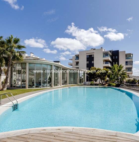 Apartment - Használt - Los Dolces - LOS DOLSES