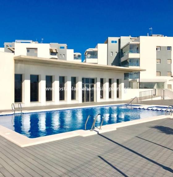 Apartment - Használt - Los Dolces - LOS DOLSES