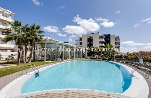 Apartment - Használt - Los Dolses - AHR-99310