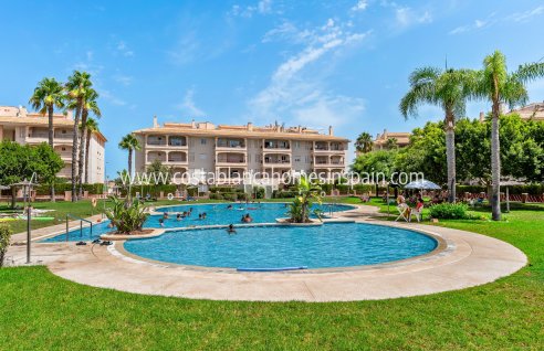 Apartment - Használt - Orihuela Costa - Playa Flamenca