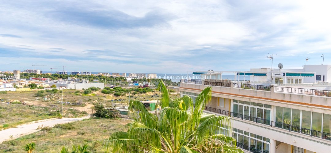 Apartment - Használt - Playa Flamenca - Orihuela Costa