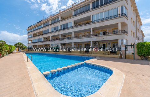 Apartment - Használt - Playa Flamenca - Playa Flamenca