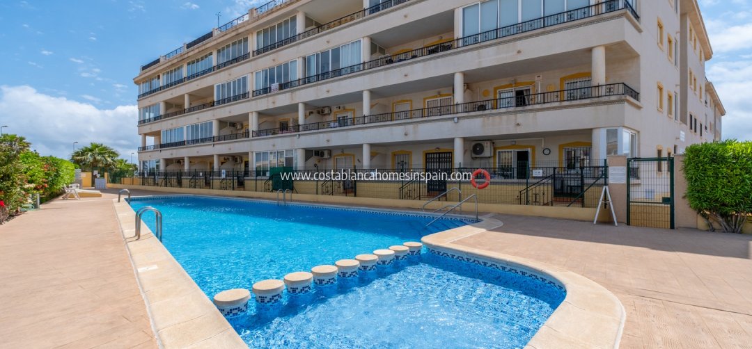 Apartment - Használt - Playa Flamenca - Playa Flamenca