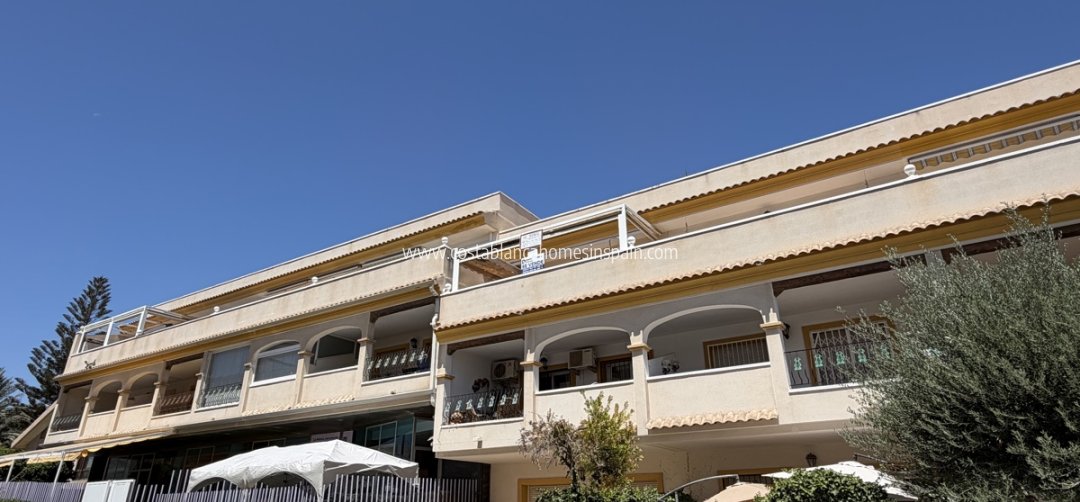 Apartment - Használt - San Miguel de Salinas - San Miguel de Salinas