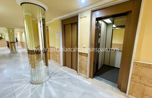 Apartment - Használt - Torrevieja - Torrevieja