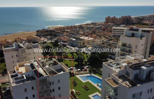 Apartment - Használt - Torrevieja - Torrevieja