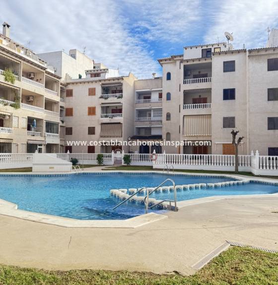 Apartment - Használt - Torrevieja - Torrevieja