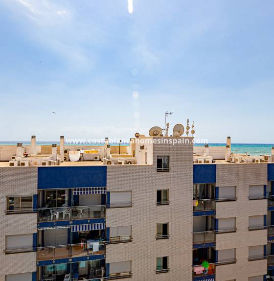 Apartment - Használt - Torrevieja - Torrevieja