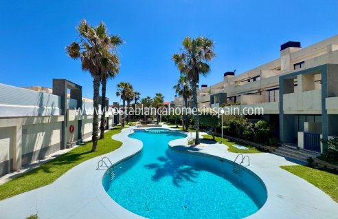 Apartment - Használt - Torrevieja - 