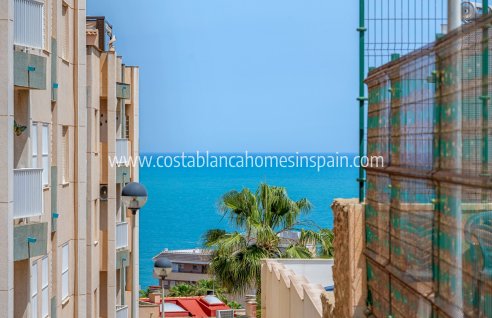 Apartment - Használt - Torrevieja - 