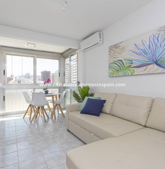 Apartment - Leigur - Benidorm - 6002
