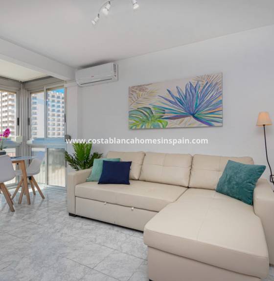 Apartment - Long Term Rental - Benidorm - 6008
