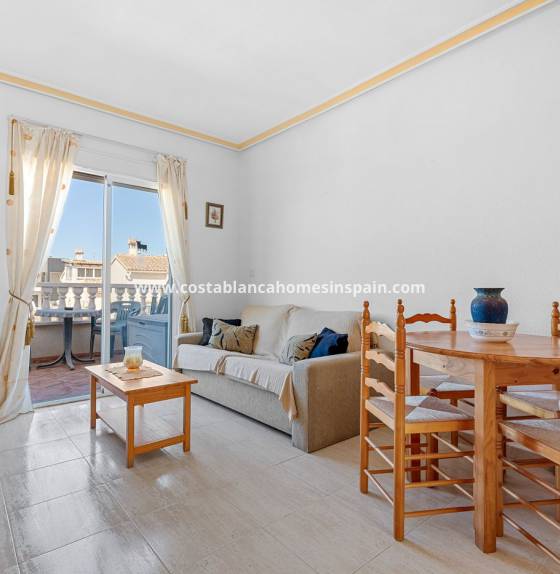 Apartment - Long Term Rental - Los Altos - 1009 DT