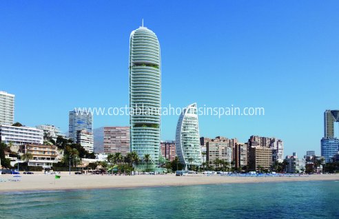 Apartment - New Build - Benidorm - Benidorm