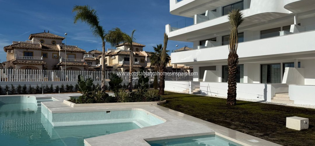 Apartment - New Build - Cabo Roig - Cabo Roig