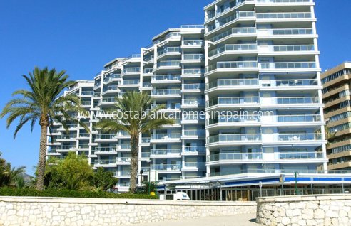 Apartment - New Build - Calpe - Calpe
