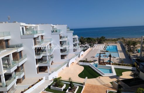 Apartment - New Build - Denia - Denia