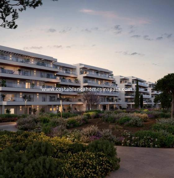 Apartment - New Build - Denia - Playa de La Almadraba