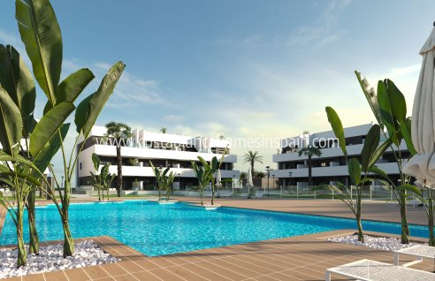 Apartment - New Build - Guardamar del Segura - Guardamar del Segura