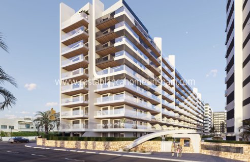 Apartment - New Build - Punta Prima - NB-46540