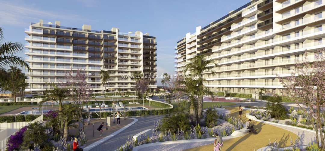 Apartment - New Build - Punta Prima - Punta prima , Orihuela Costa