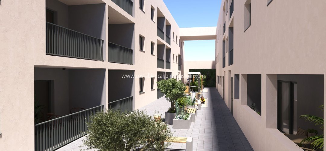 Apartment - New Build - San Miguel de Salinas - San Miguel de Salinas