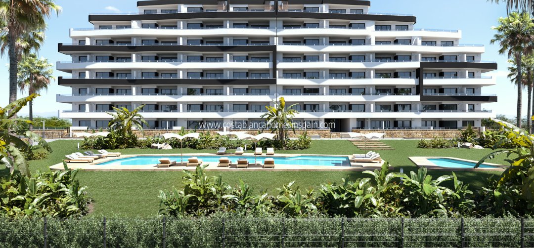 Apartment - New Build - San Miguel de Salinas - San Miguel de Salinas