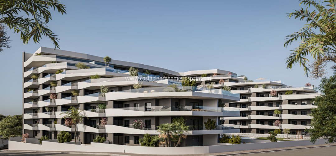 Apartment - New Build - San Miguel de Salinas - San Miguel de Salinas